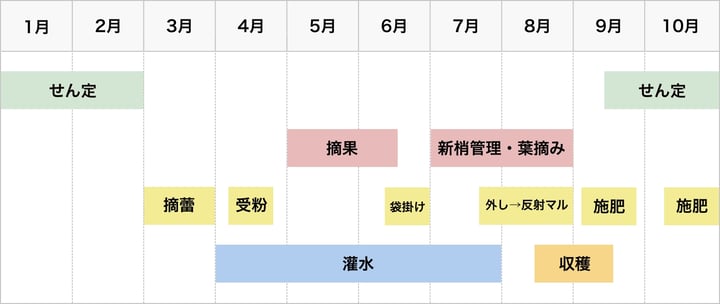川中島白桃_20221121@2x