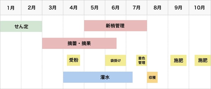 なつっこ栽培スケジュール