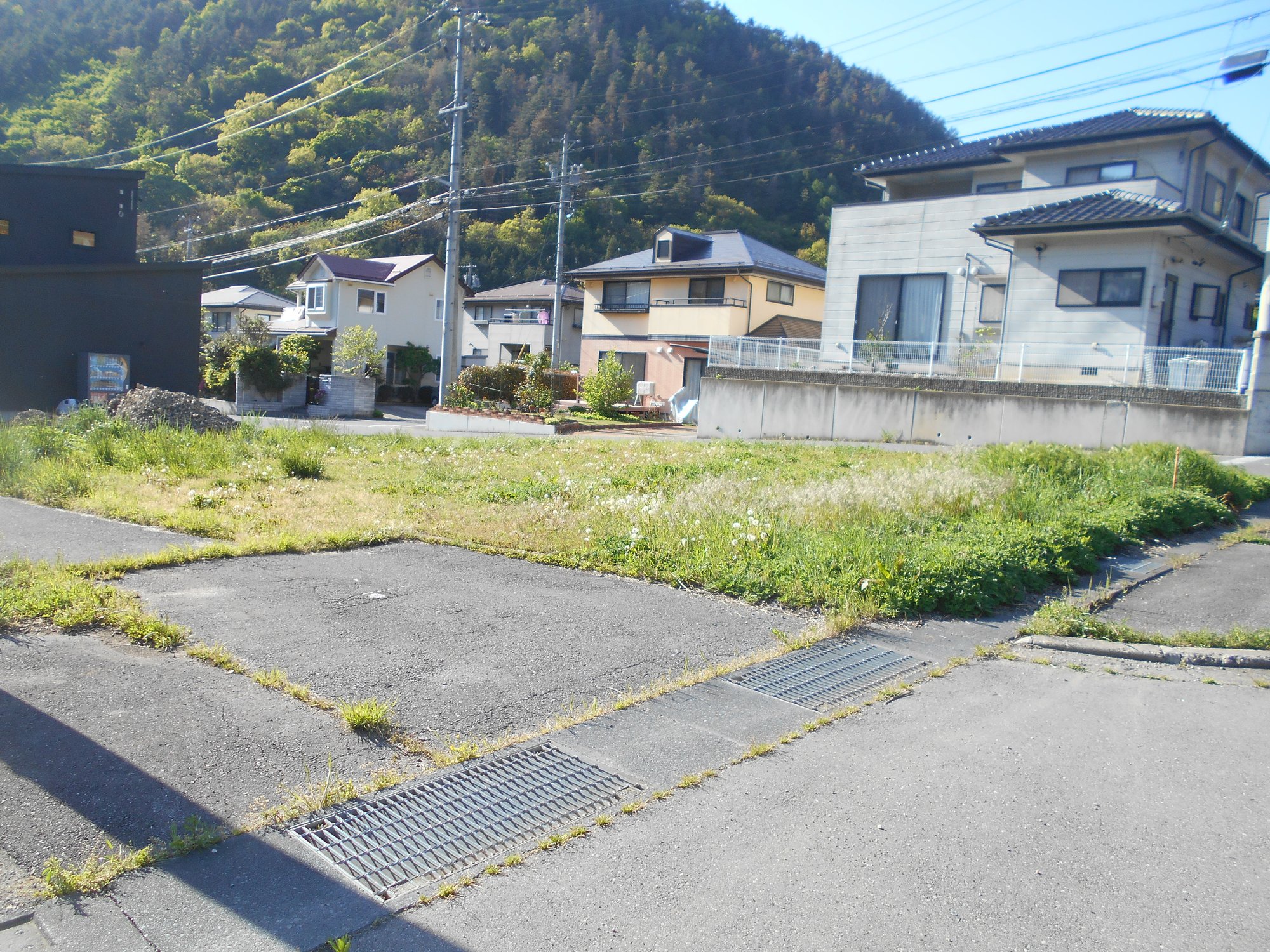 DSCN8525