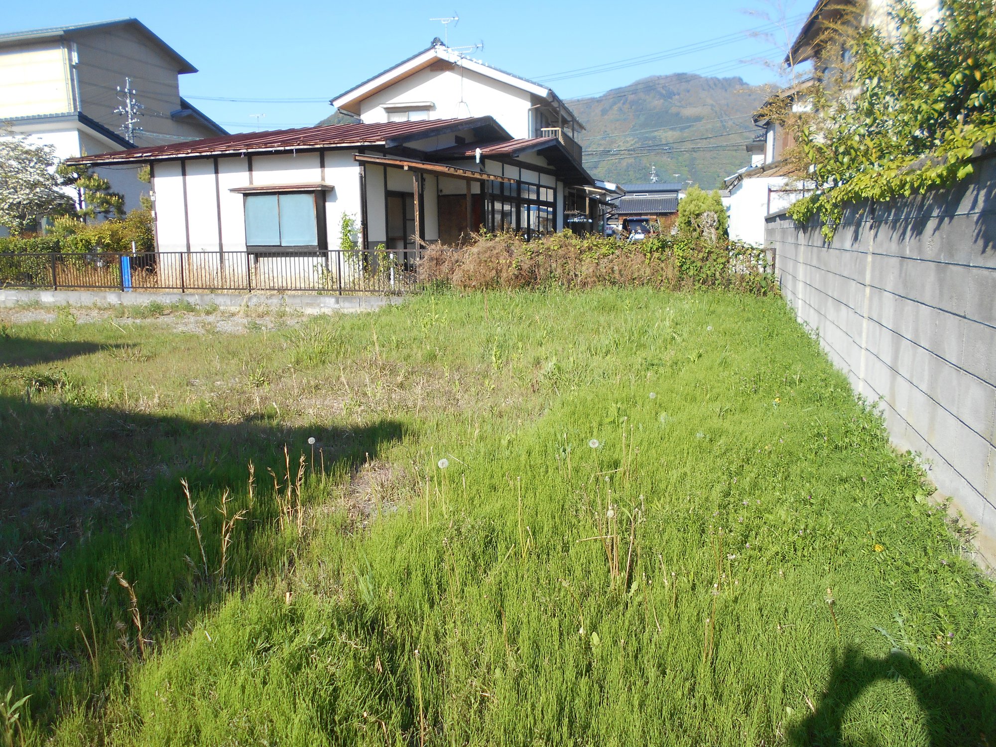 DSCN8530