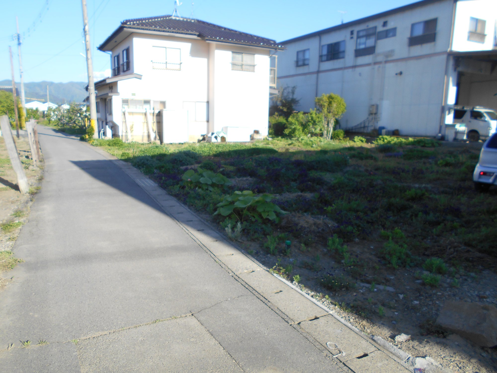 DSCN8534