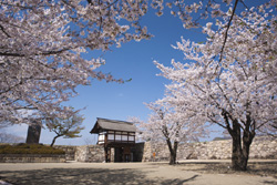 松代城（海津城）