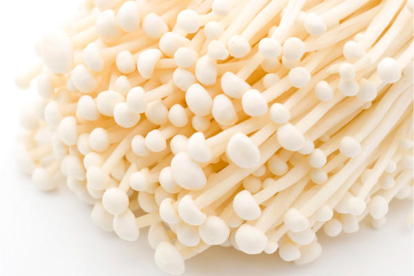 enoki