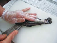 201107sakana_3_recipe_img01