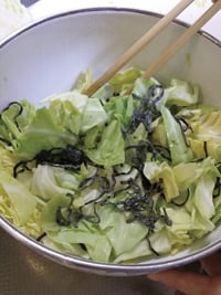 201502sioKsSub2