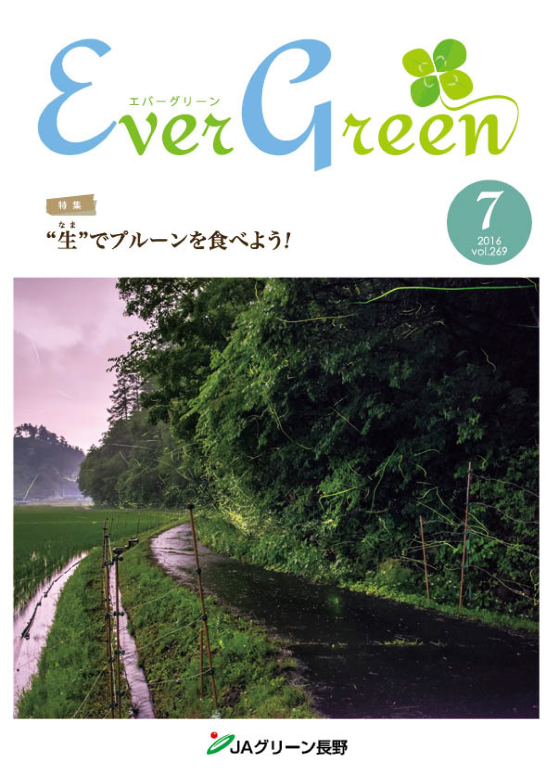 広報誌 ＥｖｅｒＧｒｅｅｎ 2016年7月号 発行のお知らせ
