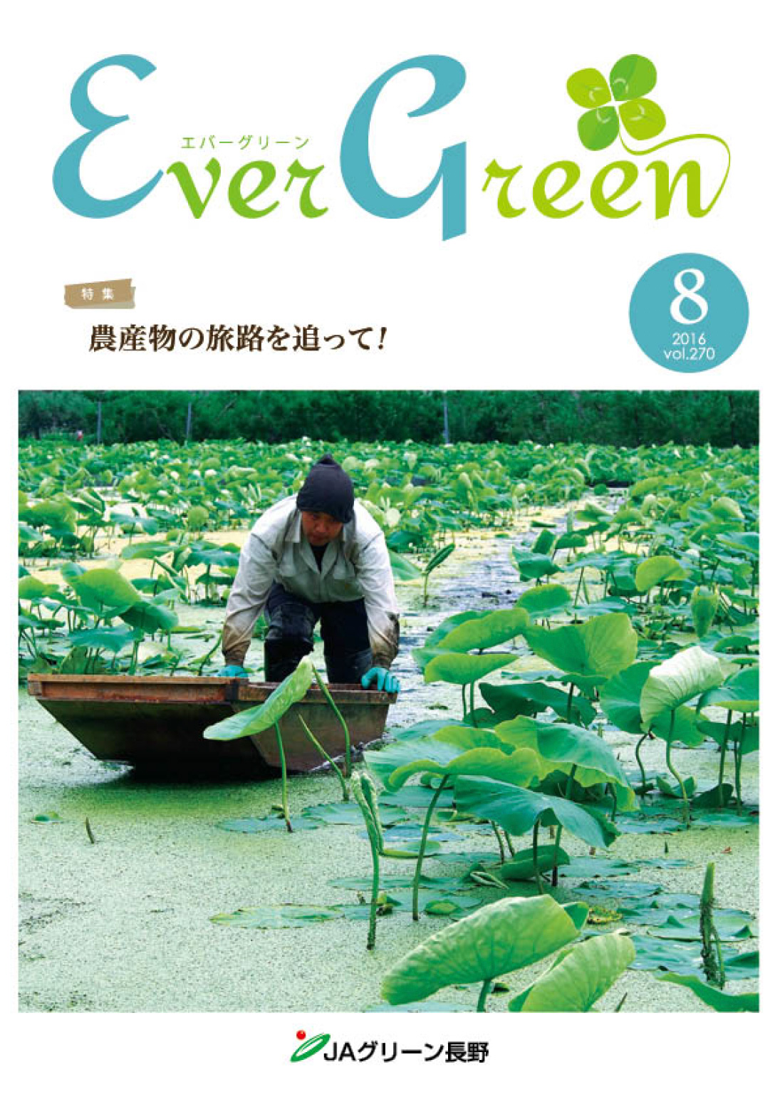 広報誌 ＥｖｅｒＧｒｅｅｎ 2016年8月号 発行のお知らせ