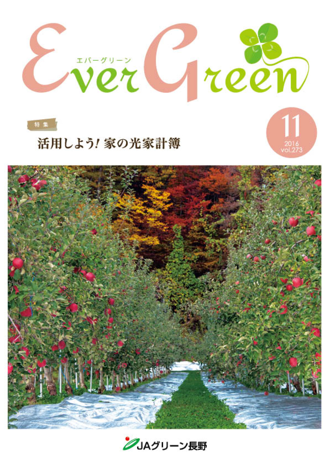 広報誌 ＥｖｅｒＧｒｅｅｎ 2016年11月号 発行のお知らせ