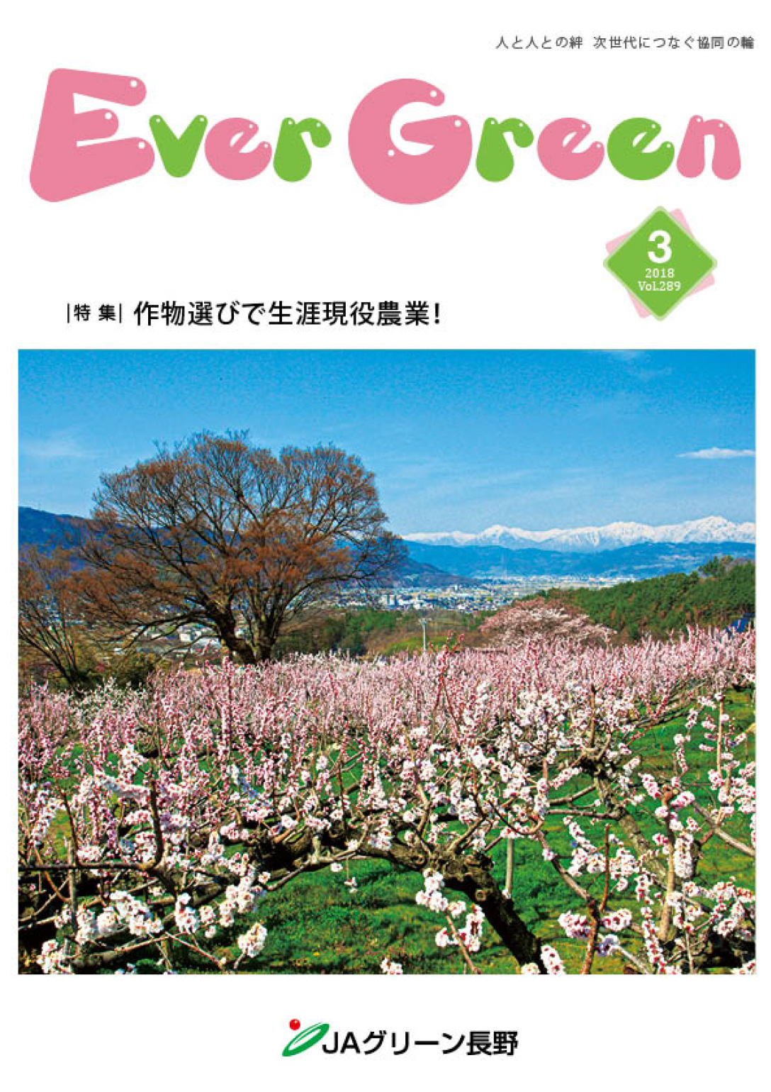 広報誌 ＥｖｅｒＧｒｅｅｎ 2018年3月号 発行のお知らせ