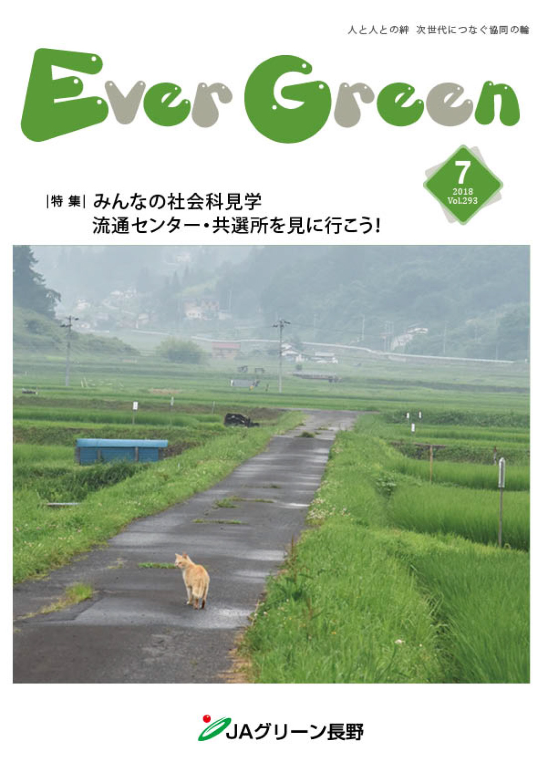 広報誌 ＥｖｅｒＧｒｅｅｎ 2018年7月号 発行のお知らせ
