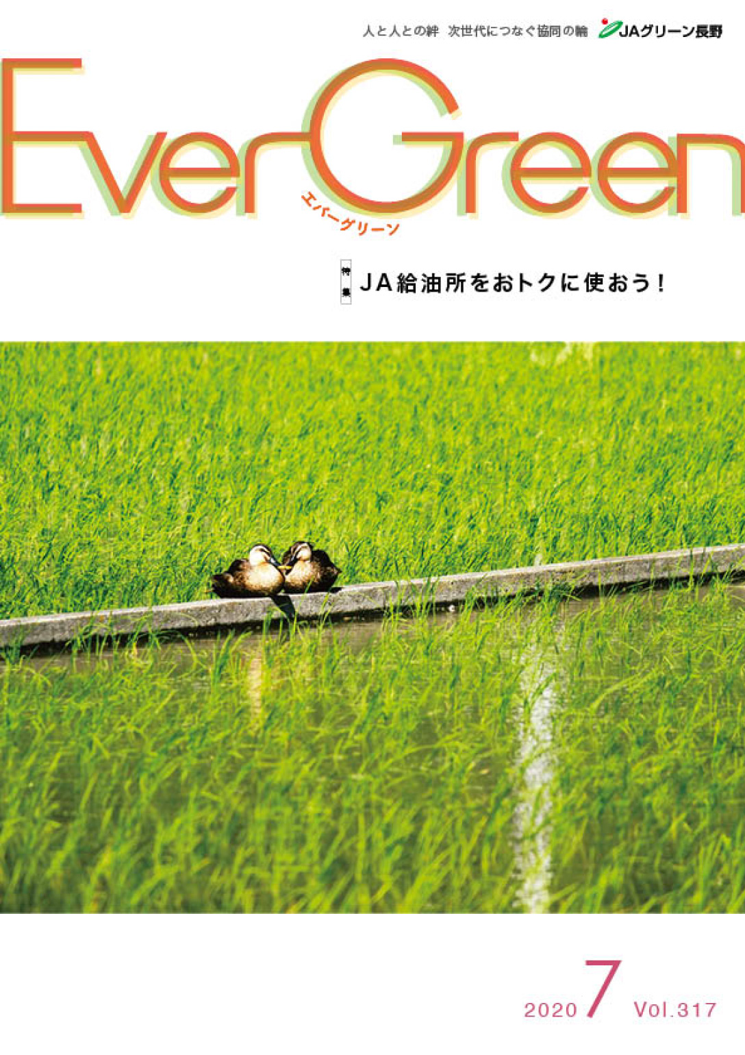 Ever Green 2020年7月号 発行しました