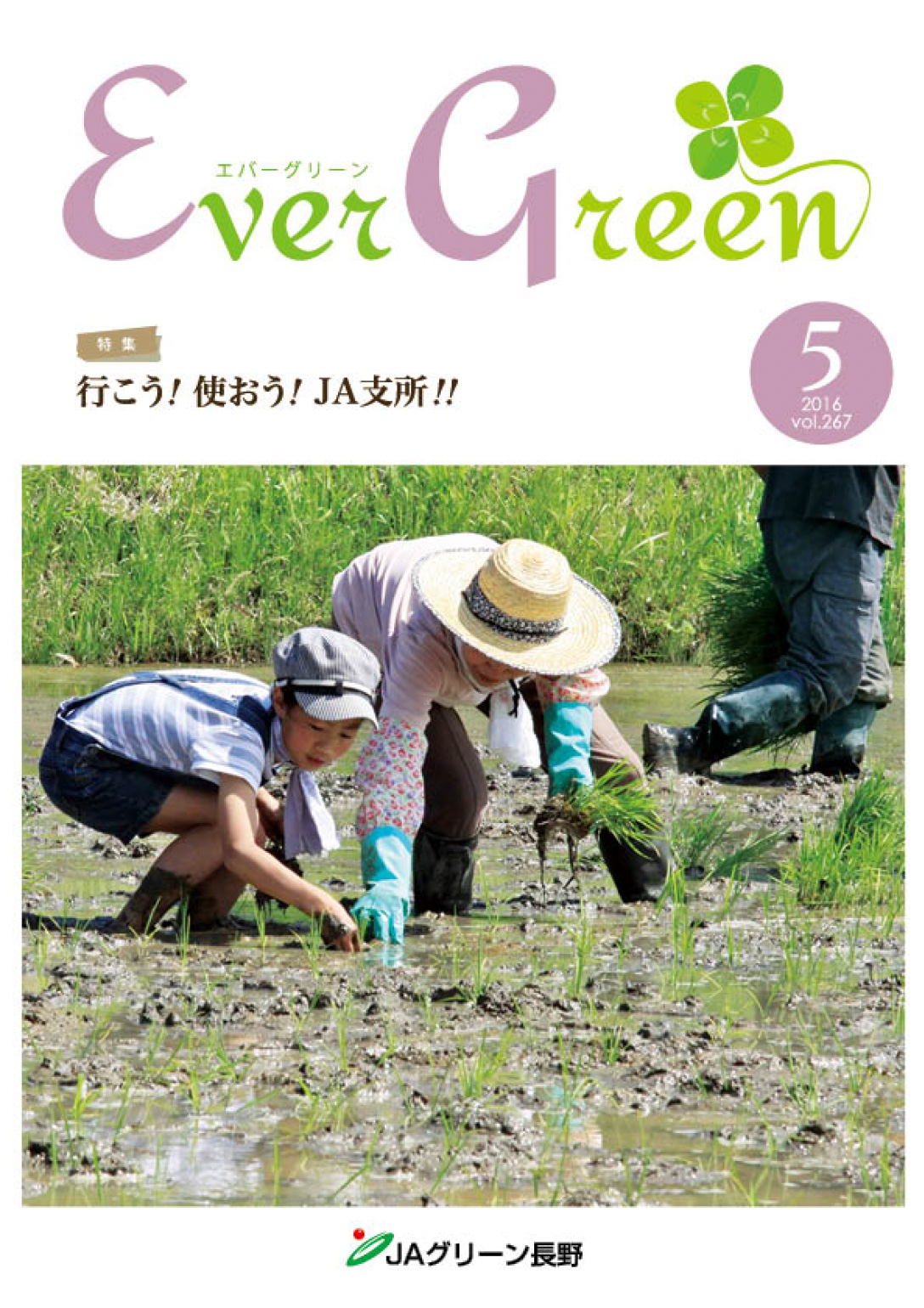 広報誌 ＥｖｅｒＧｒｅｅｎ 2016年5月号 発行のお知らせ